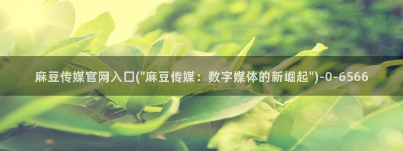 麻豆最新合集：麻豆传媒官网入囗(\