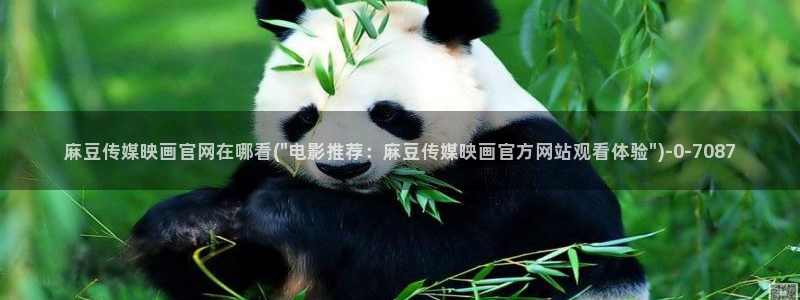 麻豆 整理：麻豆传媒映画官网在哪看(\