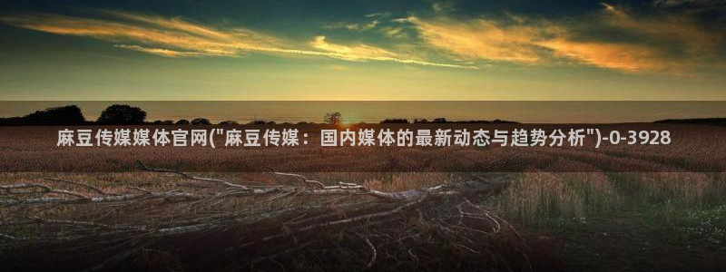 麻豆 入口完整版：麻豆传媒媒体官网(\