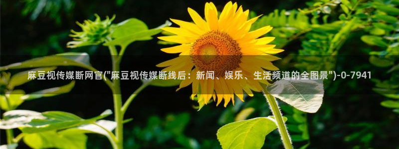麻豆 在线看合集：麻豆视传媒断网官(\
