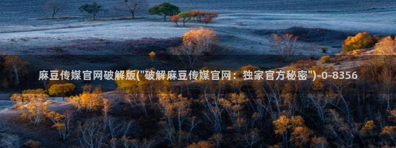 麻豆 高清高清：麻豆传媒官网破解版(\