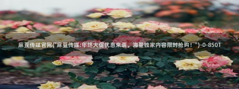 麻豆视频图集入口：麻豆传媒官网(\