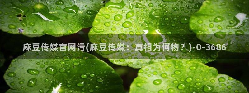 麻豆视频图集下载：麻豆传媒官网污(麻豆传媒：真相
