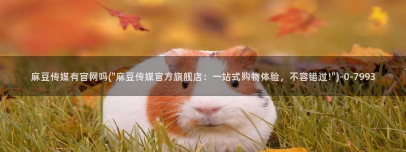 麻豆下载专区：麻豆传媒有官网吗(\