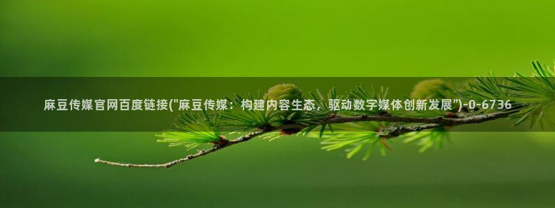 麻豆 下载推荐