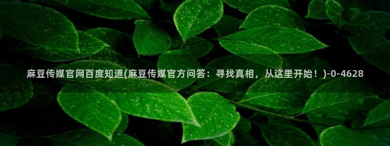 麻豆视频 短片