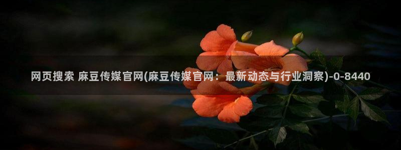 麻豆视频内容更新