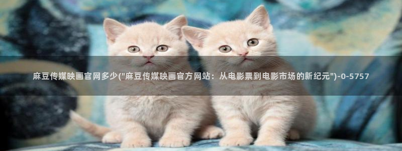 麻豆视频资源合集