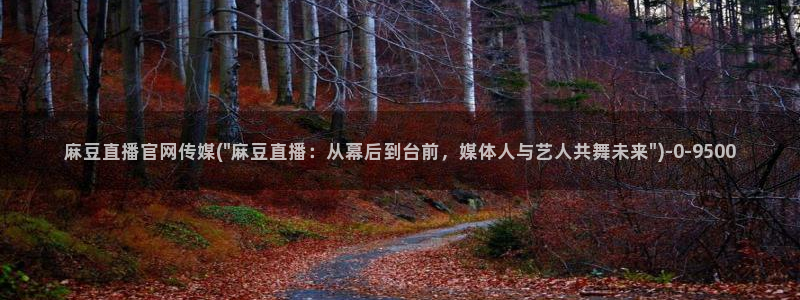 麻豆视频热门在线看