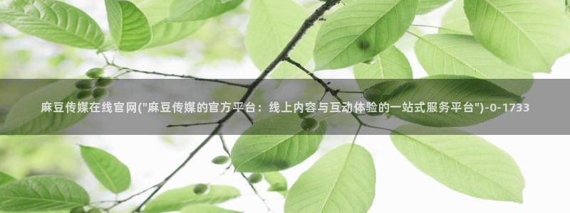 麻豆视频 专区导航
