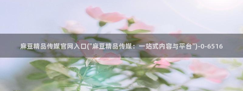 麻豆视频 高清更新