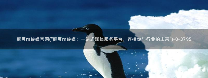麻豆视频站导航：麻豆m传媒官网(\