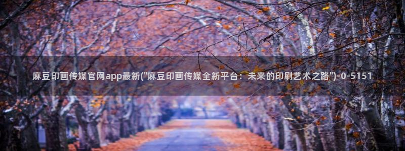 麻豆视频推荐在线看