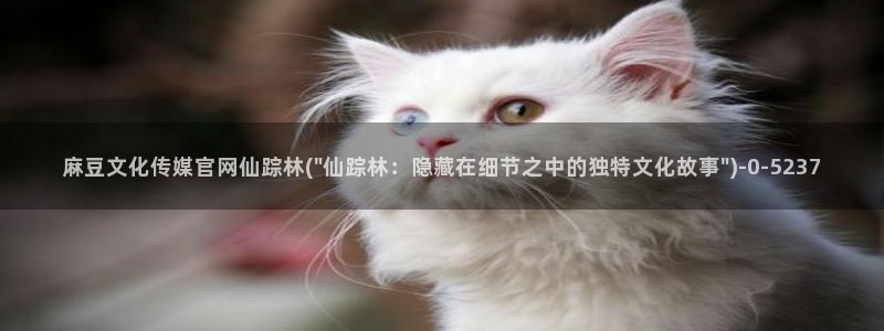 麻豆视频 入口页面：麻豆文化传媒官网仙踪林(\