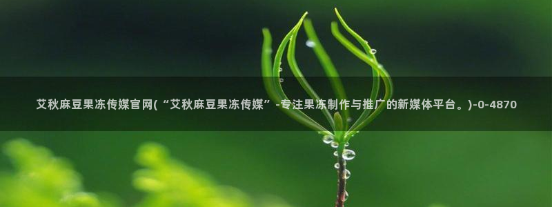 麻豆视频系列整理：艾秋麻豆果冻传媒官网(“艾秋麻