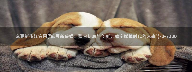 麻豆视频在线看在线看：麻豆新传媒官网(\