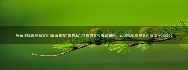 麻豆最新导航：麻豆传媒破解版官网(麻豆传媒\