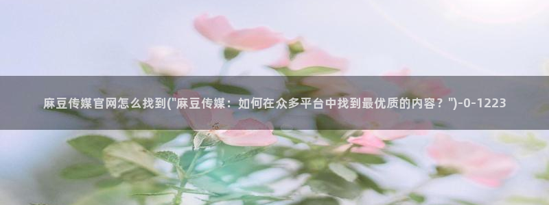麻豆视频资源更新：麻豆传媒官网怎么找到(\