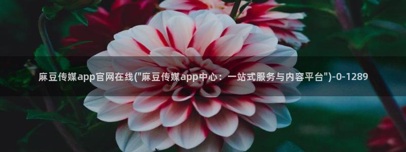 麻豆视频合集高清