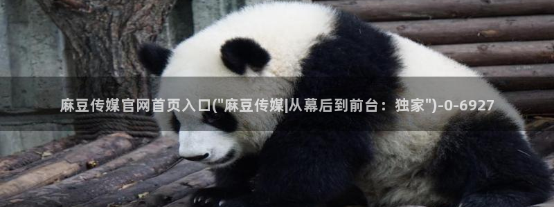 麻豆视频最新页面：麻豆传媒官网首页入口(\