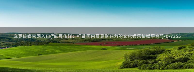 麻豆视频 官方整理：麻豆传媒官网入口(\