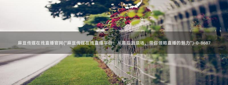 麻豆视频入口导航：麻豆传媒在线直播官网(\